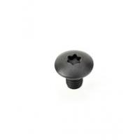 Torx Screws