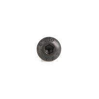 Amana Tool 67137 Hex Screw M4 x 10